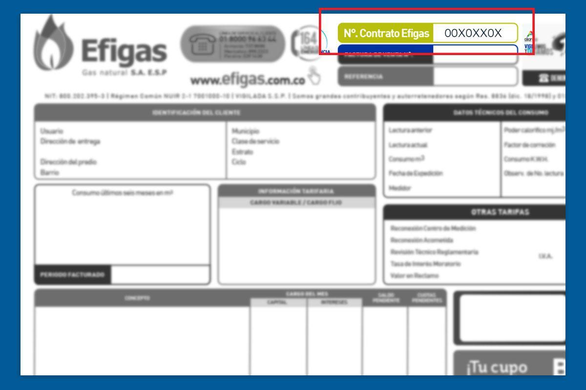 Cómo descargar factura de Efigas